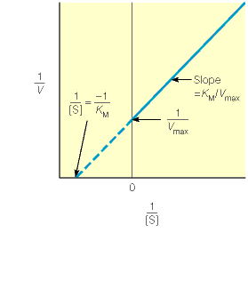 Jak určit hodnoty K m a V lim? metoda počátečních reakčních rychlostí: změřit závislost v o na [S] - metoda nelineární regrese: Např.