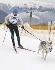 S.T.E.R. Vydavateľstvo www.dogsk.sk e-mail: canis@dogsk.sk PRÍPRAVA MAGAZÍNU Zodpovedný vydavateľ Jozef Šuster Šéfredaktor Ing.