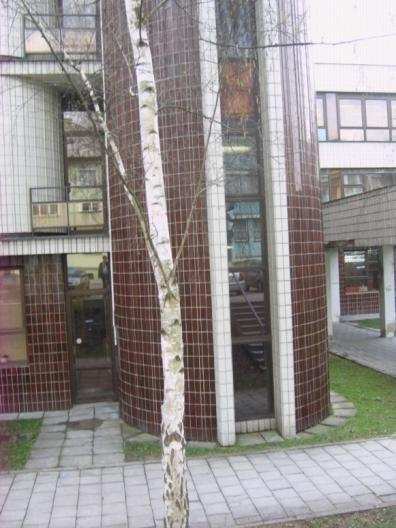 ENERGETICKÝ AUDIT Budova Dům kultury ve Vsetíně - 81 - Příloha č.1 Foto č. 8: Severovýchodní pohled část A Foto č.