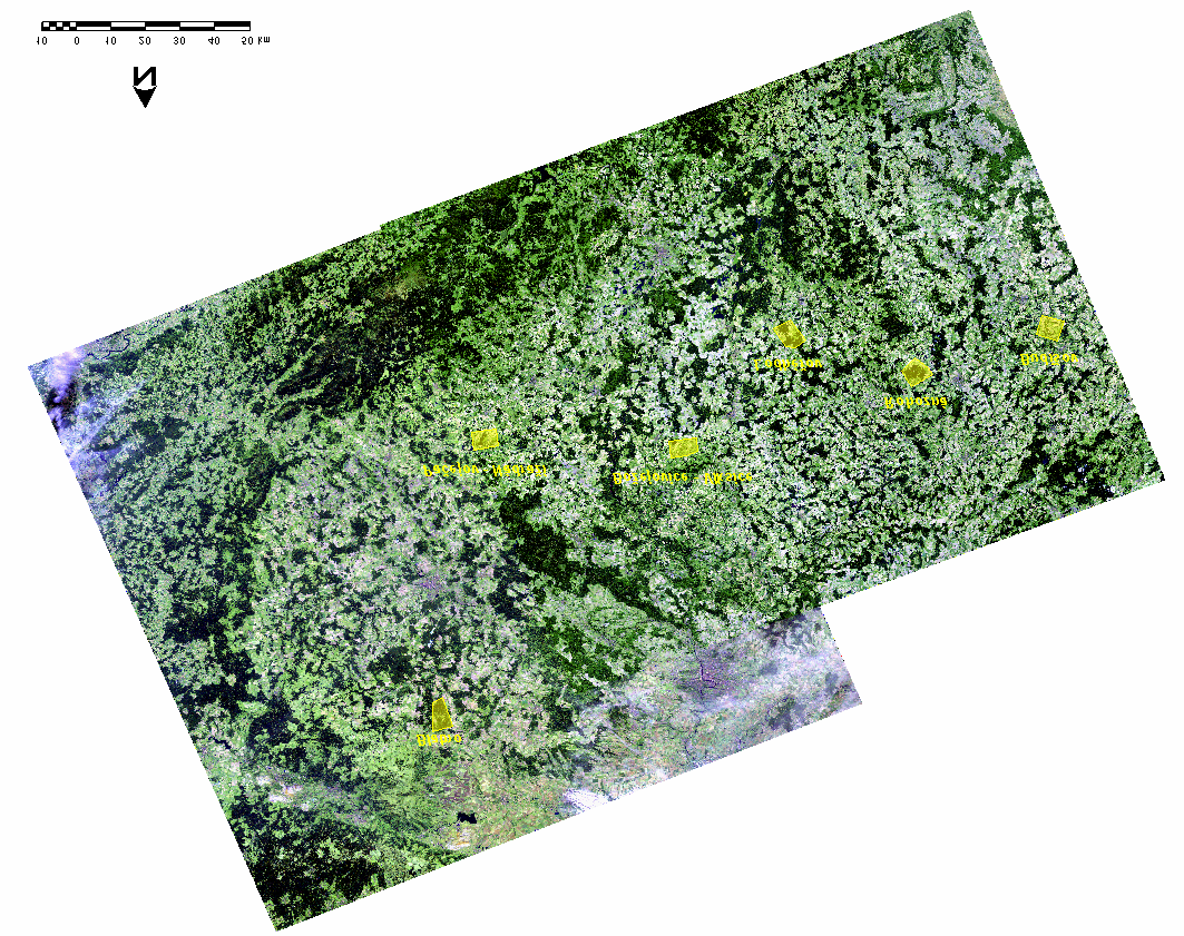 Obr. 1: Družicové scény Landsat 7 ETM+ České republiky a umístění 6 vybraných lokalit3.