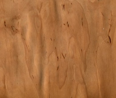 Dřevo a jeho ochrana 28 Dřeňové skvrny Dřeňová skvrna