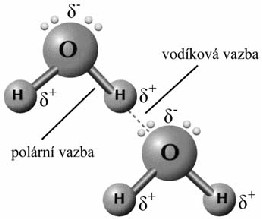 DOPLNĚK JEN PRO INFORMACI. Vodíková vazba Vodíková vazba neboli vodíkový můstek vzniká v důsledku vazby vodíku se silně elektronegativními prvky (F, N, O).