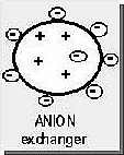 Ionex = nerozpustná matrice s kovalentně navázanými skupinami nesoucími náboj katex -výměna kationtů anex - výměna aniontů Na +, H + Cl