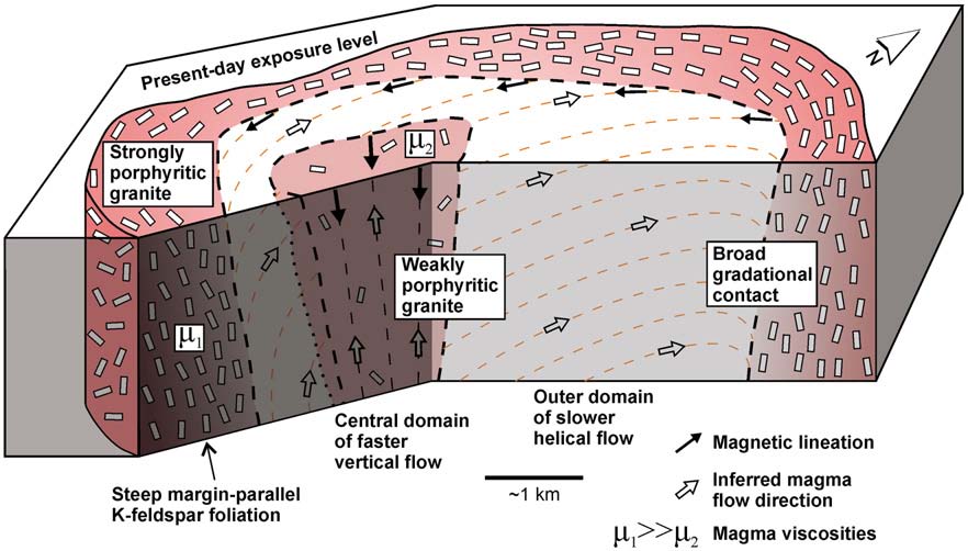 J. Trubač et al. / Journal of Volcanology and Geothermal Research 181 (2009) 25 34 31 stations at ~1200 1500 m from the contact, where the lineation plunges moderately (35 45 ; Fig.