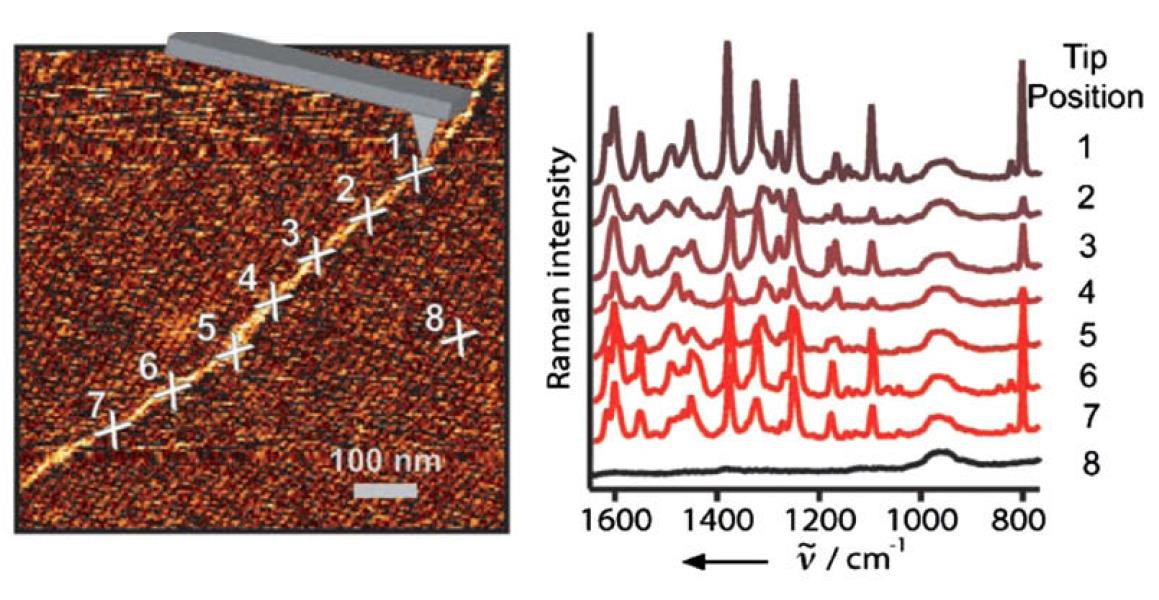 Povrchem zesílený Ramanův rozptyl (SERS Surface-Enhanced Raman Scattering) je jev, s jehož pomocí je možno zesílit Ramanský signál o mnoho řádů intenzity (až 10 10 ).