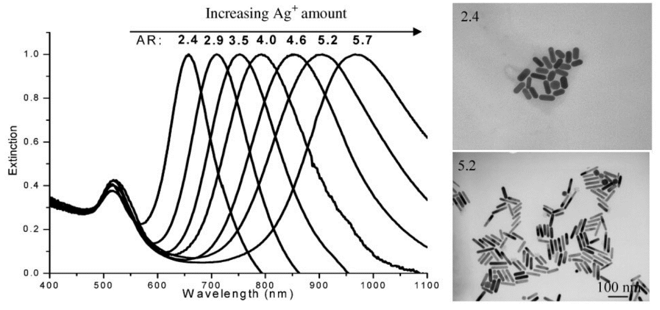 v elektromagnetických výpočtech, ale také experimentálně při SERS měřeních. Obrázek 2.