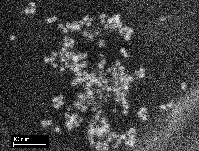 charakterizován na absorpčním spektrometru. Jeho LSPR maximum má hodnotu 521 nm (obr. 3.3). Pro tyto dva typy nanočástic jsou přiloženy i SEM snímky (obr. 3.4 a 3.5).