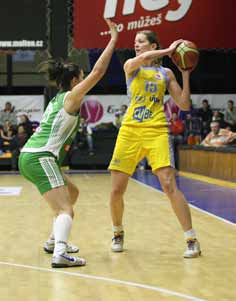 fotogalerie partněři zvvz USK PARTNEŘI Vš PRAHA www.uskbasket.