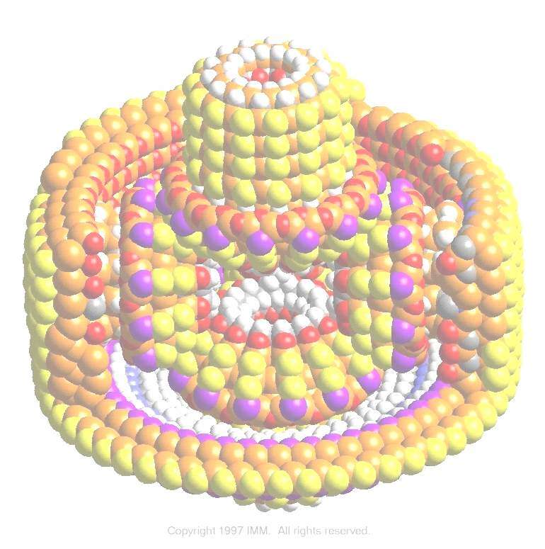 Nanomotorky-výkon Nanomotorek podává velmi nízký výkon: při každém taktu se vyvine práce jen 4,5 x 10-20 J.