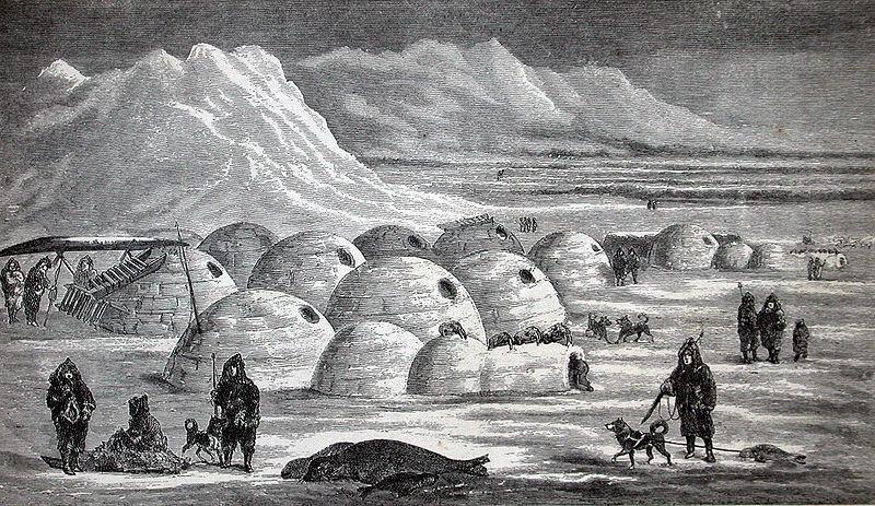 OBYVATELSTVO Původními obyvateli Arktidy jsou už po tisíciletí Inuité (Eskymáci) -Severní Amerika a Grónsko Kolem polárního kruhu na Aleutských ostrovech žijí Aleuté Sámové obývají severní