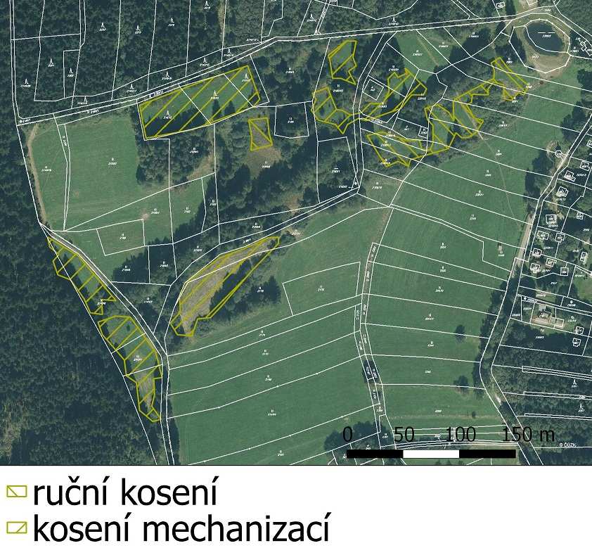 Název akce PPK: Péče o lokality s výskytem ZCHD mimo MZCHÚ a omezení výskytu nepůvodních druhů rostlin ve III.