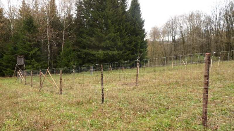 Fotodokumentace: Výsadba ovocných dřevin, lokalita Ptačí Výsadba ovocných dřevin, lokalita Třešňovka