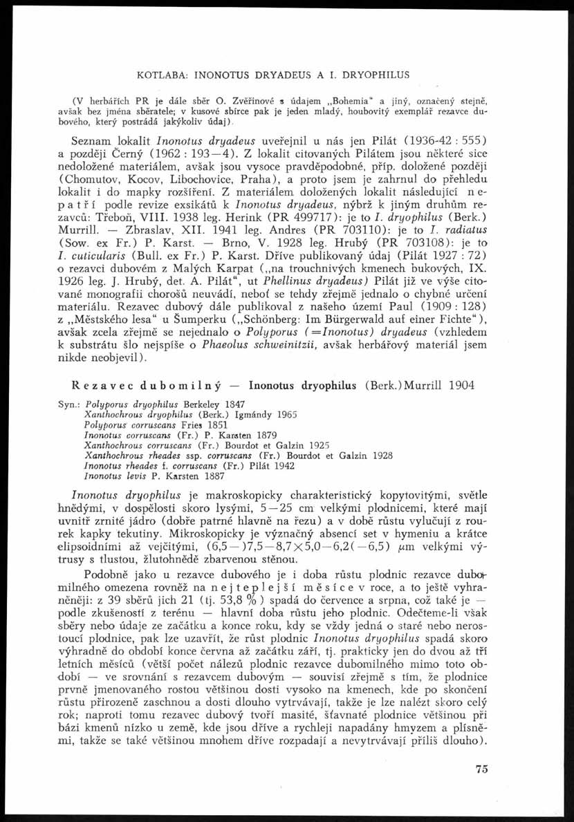 KOTLABA: INONOTUS DRYADEUS A I. DRYOPHILUS (V herbářích P R je dále sběr O.