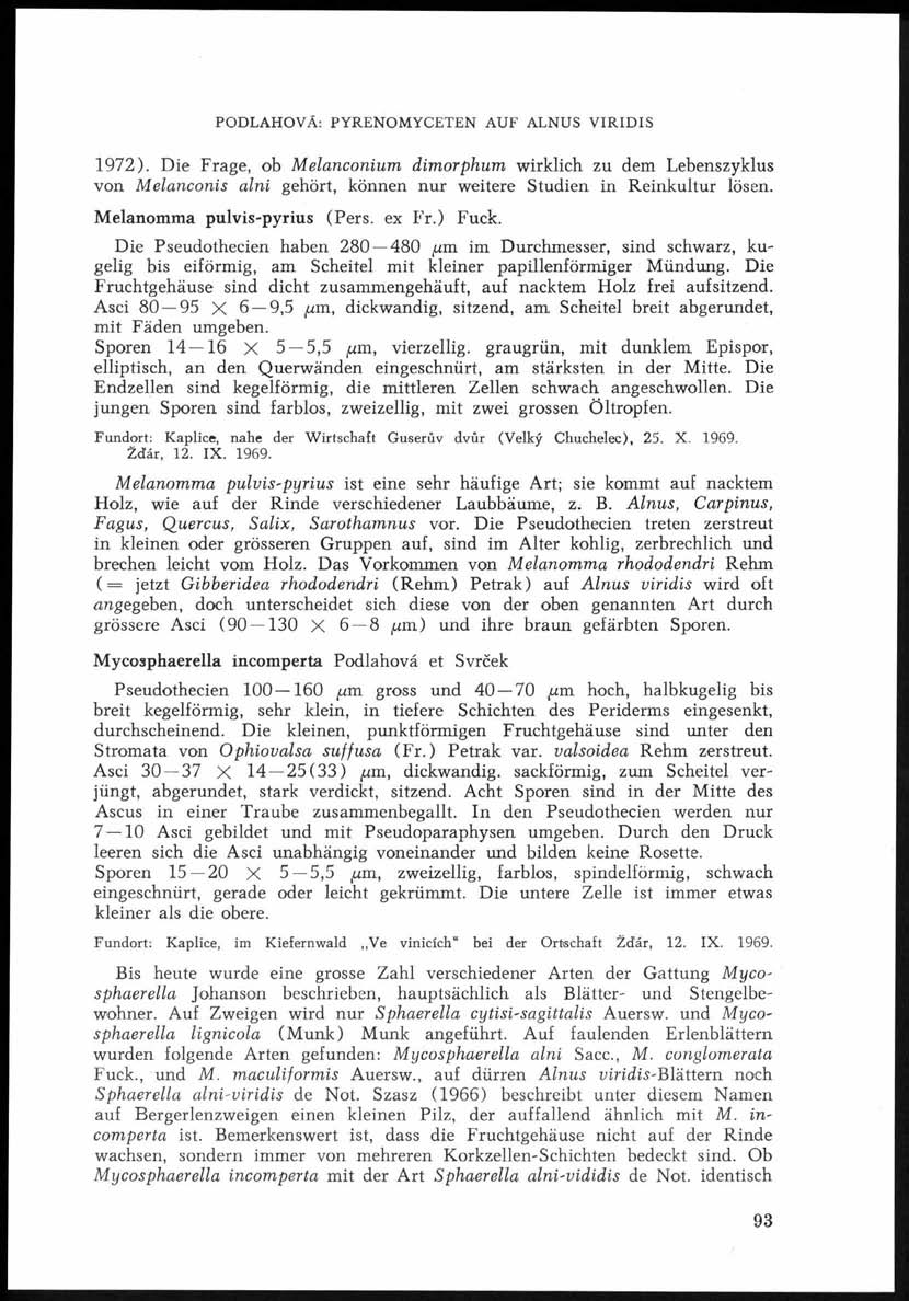 PODLAHOVÁ: PYRENOMYCETEN AUF ALNUS VIRIDIS 1972). Die Frage, ob M elanconium dimorphum wirklich zu dem Lebenszyklus von M elanconis alni gehört, können nur weitere Studien in Reinkultur lösen.