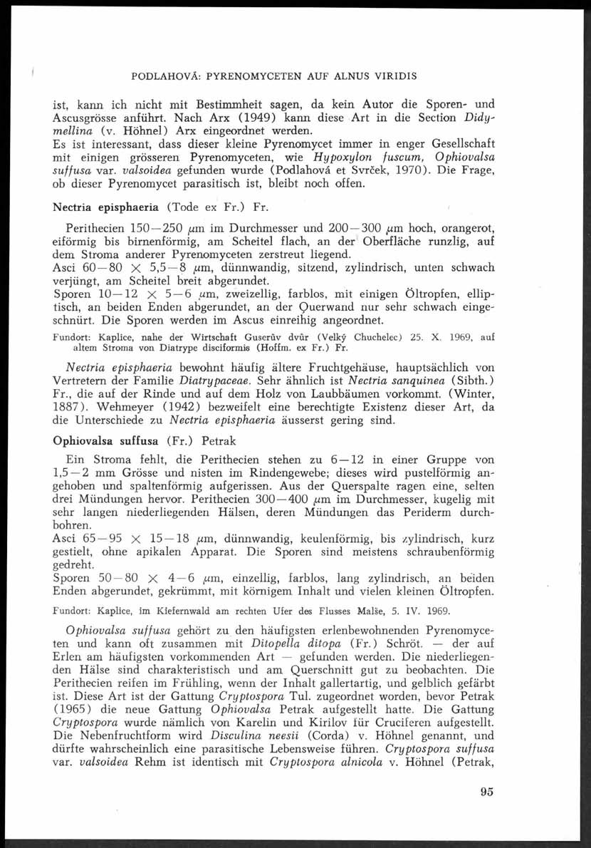 PODLAHOVÁ: PYRENOMYCETEN AUF ALNUS VIRIDIS ist, kann ich nicht mit Bestimmheit sagen, da kein Autor die Sporen- und Ascusgrösse anführt. Nach Arx (1949) kann diese Art in die Section D idym ellina (v.