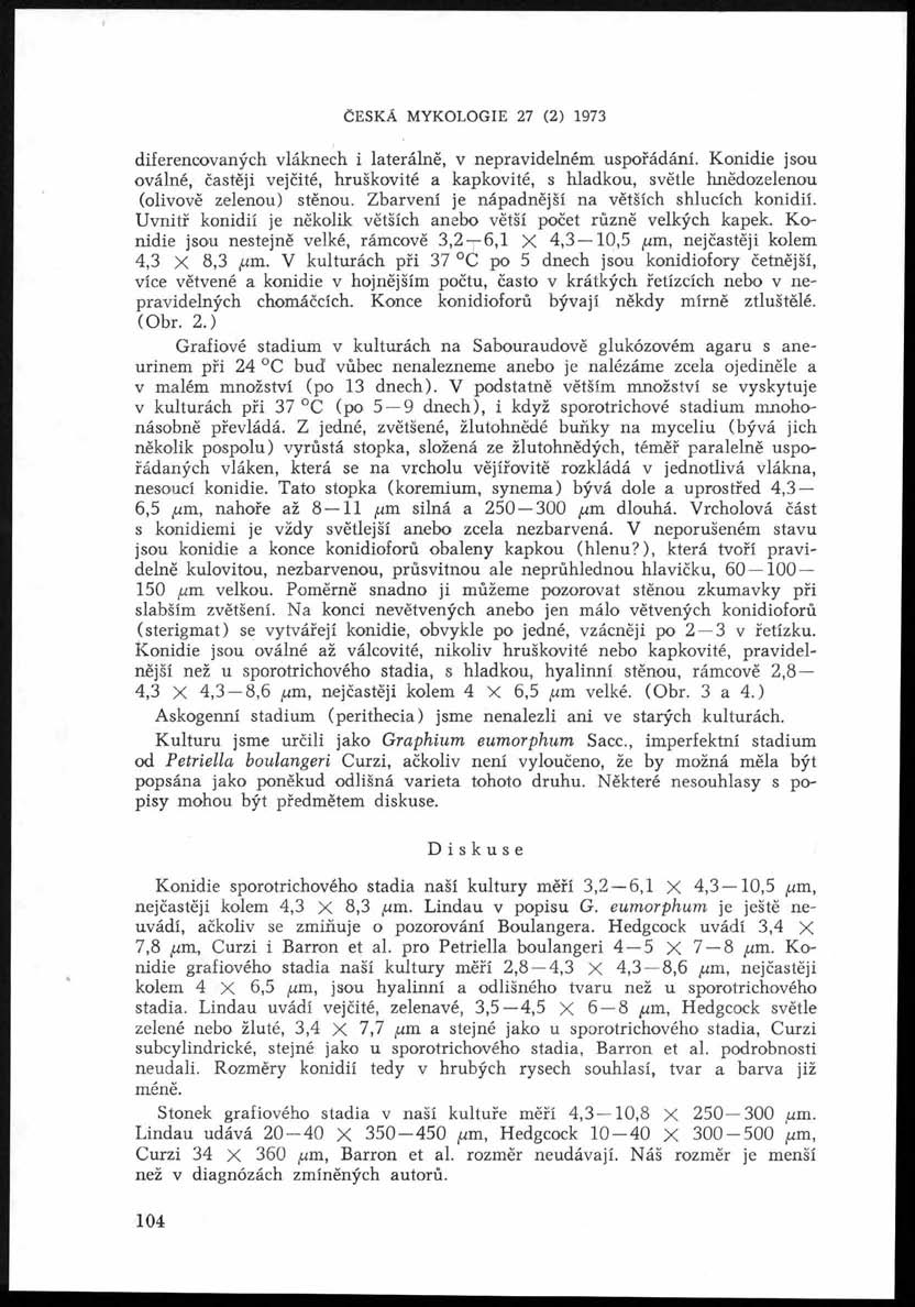 Česká mykologie 27 (2) 1973 diferencovaných vláknech i laterálně, v nepravidelném uspořádání.