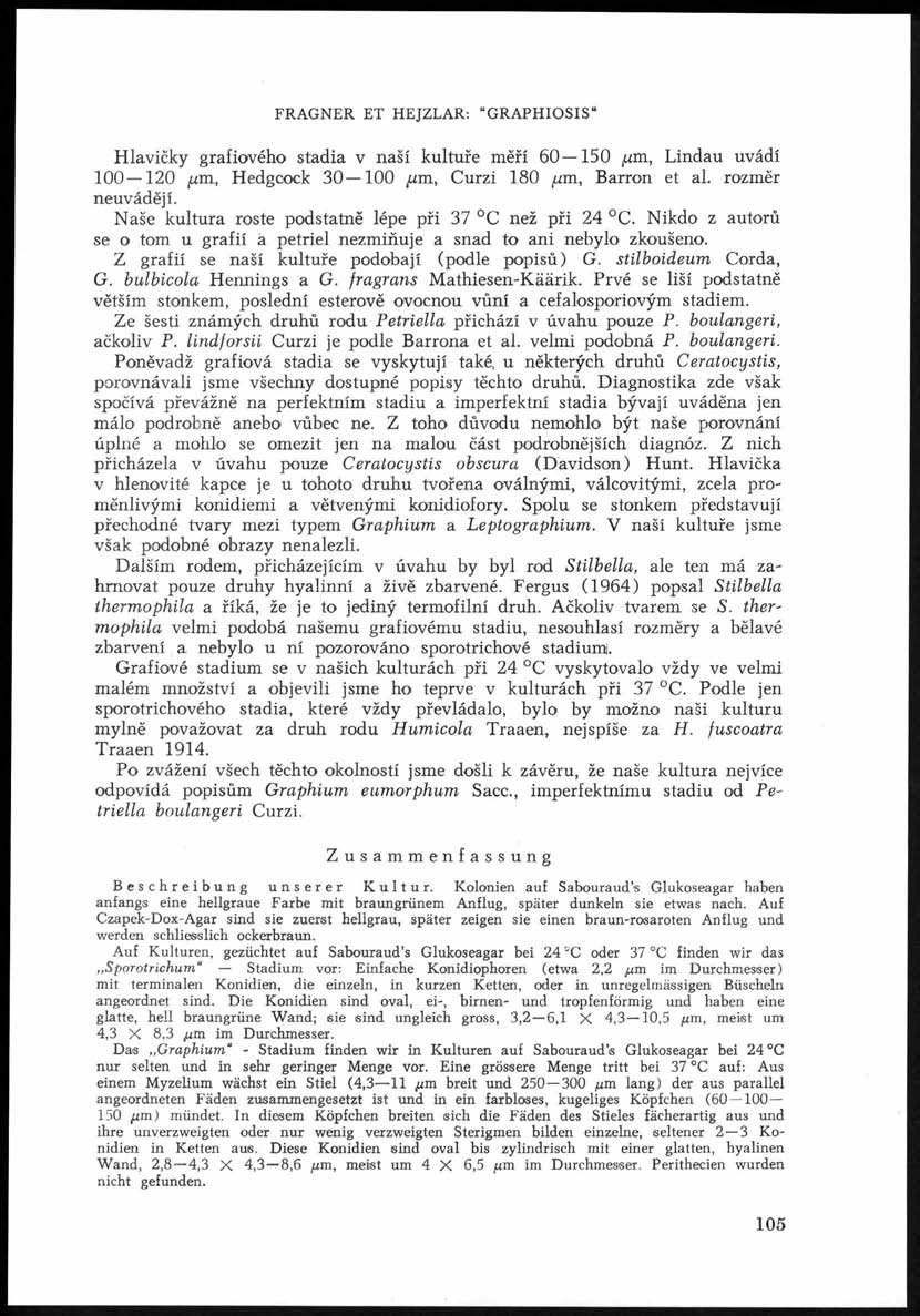 FRAGNER ET HEJZLAR: GRAPHIOSIS Hlavičky grafiového stadia v naší kultuře měří 60 150 jum, Lindau uvádí 100 120,um, Hedgcock 3 0 100 um, Curzi 180 fim, Barron et al. rozměr neuvádějí.