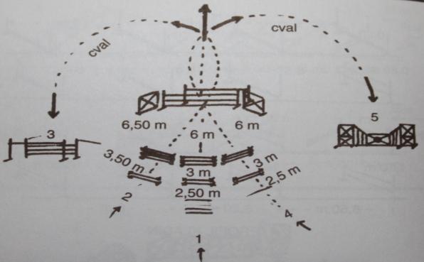 Obr. č. 14 Skokové řady (Dobeš, 1997) Ve třetím týdnu pracujeme se skokovou řadou čtyř překážek dle obrázku 118. K nim přidáme oxer do 1,10 m a šířky 1,20 m.