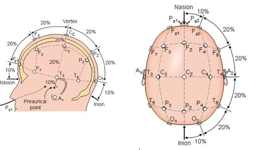 2. EEG Elektroencefalografie Elektroencefalografie (EEG) je diagnostická metoda, při které dochází k zaznamenávání elektrické aktivity mozku.