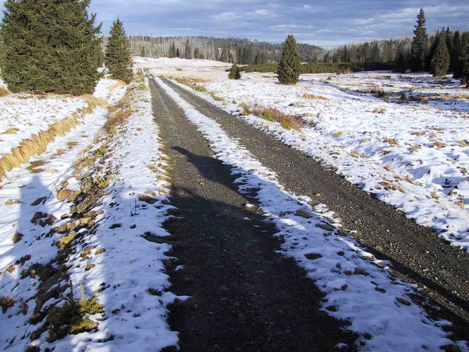 Pozemek ve správě Správy NP a CHKO Šumava. Leží na pozemcích 1303/2 a 3, 1295/1, 1296/2, 1419/2 v k.ú. Filipova Huť.