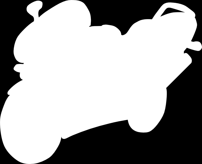 2) DESCRIBE OUTSIDE PARTS OF THIS MOTORCYCLE THAT YOU REMEMBER: Střední