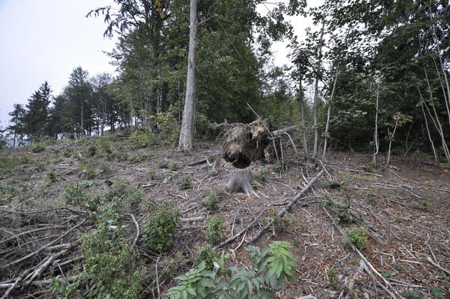 14 Výřezy z katastrální mapy s fotomapou a s fotodokumentací Lokalita 1- severní část -