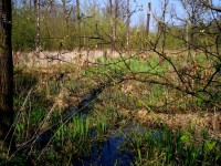 Písečný rybník Rybník 49 47'28.53"N 18 8'3.43"E V Moravskoslezském kraji, v regionu Ostravsko se nachází v okrajové části malebného Městečka lázní Klimkovice nevelký rybník zvaný Písečný rybník.