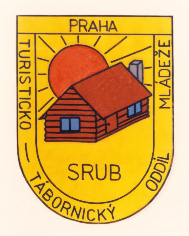 VÝROČNÍ ZPRÁVA 2016 POSLÁNÍ ORGANIZACE Dětem a mládeži ze všech sociálních skupin ve věku 6-26 let nabídnout zajímavou alternativu trávení volného času než ulici, a tím předcházet kriminalitě mládeže.