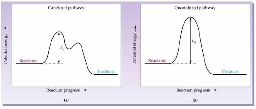 Katalýza Katalyzátory mění reakční cestu (reakční mechanismus) vedoucí od reaktantů k produktům. Změnou mechanismu se změní i aktivační energie řídícího děje. Př.