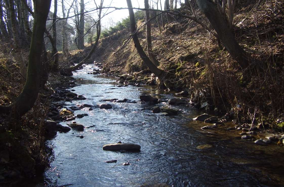Stav životních společenstev a kvalita vody
