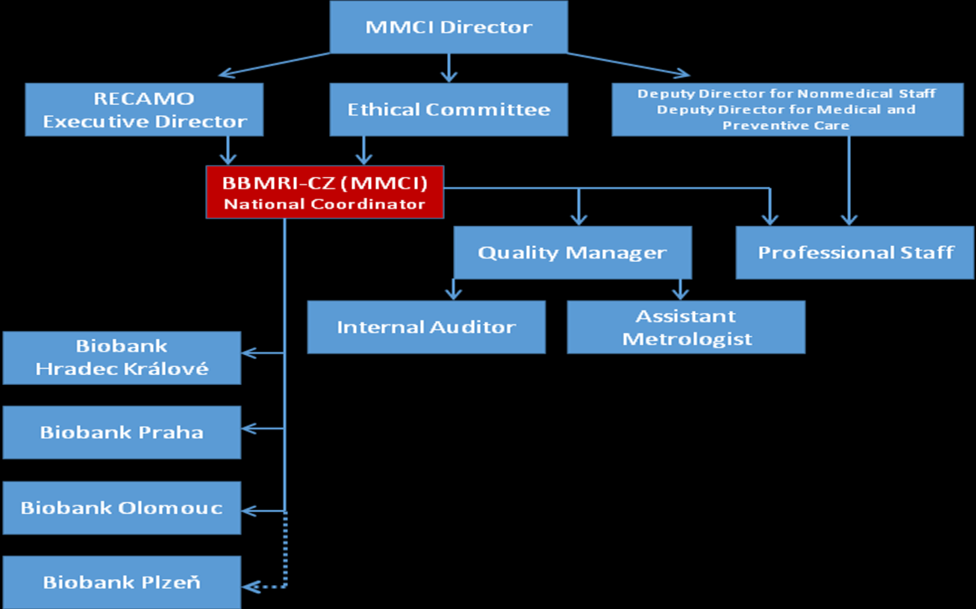 Fig. 2. The scheme of organizational relationships and responsibilities within BBMRI_CZ. Refered to II.