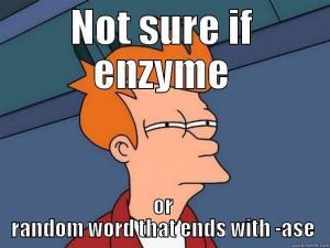 Nazvosloví enzymů - enzymy mají svoje specifické názvosloví - název enzymu se skládá buďto z označení substrátu nebo z