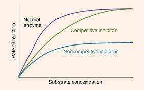 Inhibice enzymů 1) kompetitivní inhibitory strukturou podobné substrátu enzym nekatalyzuje přeměnu inhibitoru, inhibitor se pouze na enzym naváže váží se do vazebného místa substrátu zvýšením