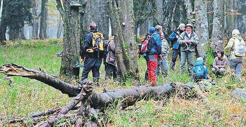 4 1. srpna 2014 Českobudějovicko Muž navrací domům krásu Umělecký štukatér Vladimír Voborník se zhlédl vselském baroku. Svůj otisk nechal ivúsilném, které se letos stalo vesnicí roku vkraji.