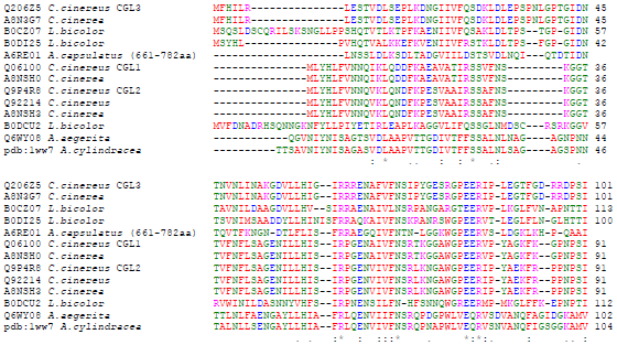 ClustalW2 aminokyseliny barevně znázorněny (ty s podobnými fyzikálně chemickými vlastnostmi stejnou barvou) míra konzervovanosti přiřazených sekvencí vyjadřována několika