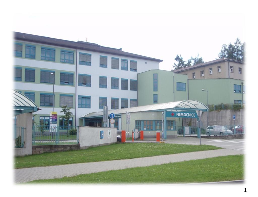 Výro ní zpráva 2012