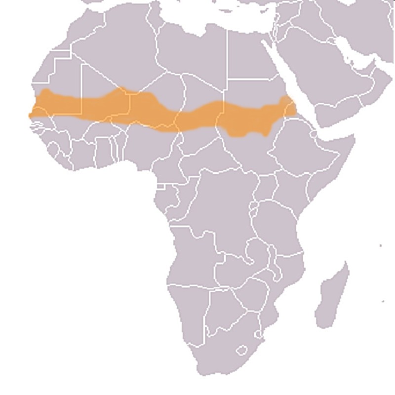 Mauritánie Senegal Mali Burkina Faso