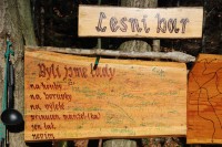 A to tam - vlesích - stojí po celé dny obsluha?, říkáte si možná. Nikoliv. Lesní bar je samoobsluhou. Vezmete si nápoj, sušenku a do kasičky umístěné na dřevěném stolku hodíte dvacetikorunu.