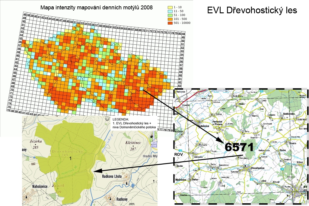1) Výchozí stav Na území EVL Døevohostický les a okolí nebyl doposud realizován žádný ucelený lepidopterický výzkum.