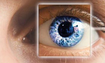 UTB ve Zlíně, Fakulta aplikované informatiky, 2011 29 5 OČNÍ SÍTNICE Sítnice je světlo-citlivý povrch na zadní straně oka a skládá se z velkého množství nervových buněk.