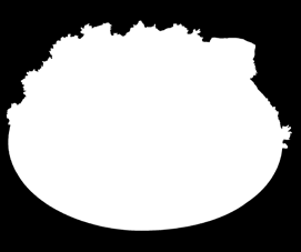 recept Bravčový bok s kosťou 1 kg 3,09 EUR/kg Tempo SM Čadca, Martin, Spišská Nová Ves, Žilina 2,79 EUR/kg 2,79 EUR/kg Tempo SM Liptovský Mikuláš, Námestovo 2,59 EUR/kg 2,59 EUR/kg 3 09 Ako na to: