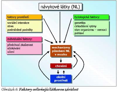 Berke a Hyman (2000) shrnují současné poznatky o molekulárních mechanizmech paměti a procesech při látkové závislosti, kde se významně podílí dopamin jako neuro-transmiter.
