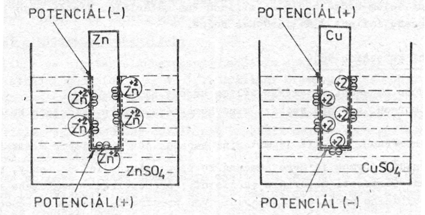 prechádzať do roztoku. Ak je naopak osmotický tlak väčší než rozpúšťací, nabije sa kov na kladný potenciál. V určitom okamihu nastáva tzv.