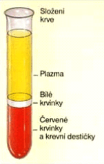 srážení Cévní