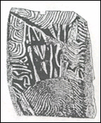 UTB ve Zlíně, Fakulta aplikované informatiky, 2007 21 2 BIOMETRICKÉ PŘÍSTUPY 2.1 Historie daktyloskopie Technologie otisku prstu má mnohaletou bohatou historii.