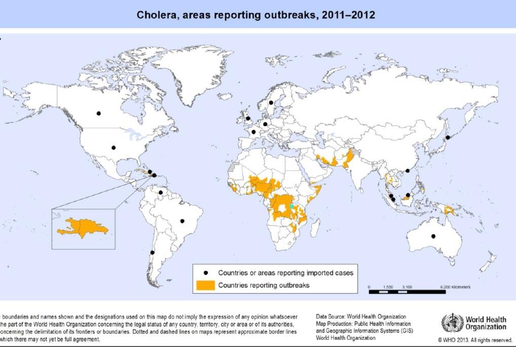 Cholera Cholera gravis - Vibrio cholerae O1 or