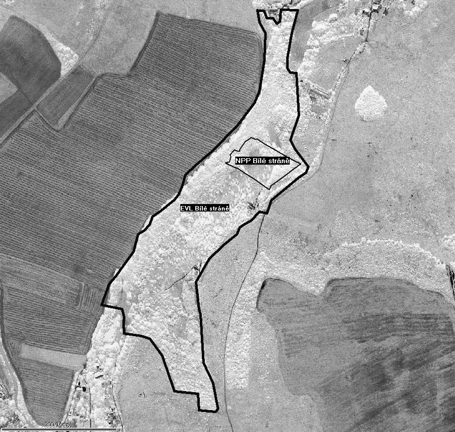 Obr. 1. Mapka sledovaného území. Fig. 1. Map of the study area. Nomenklatura a systematické řazení druhů je převzato dle Nováka et al. (1997).