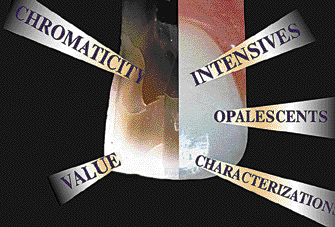 IL COMPOSITO CHE SI ILLUMINA THE