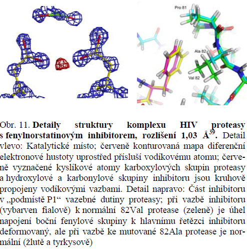 Rentgenografie pro léčiva vývoj inhibitorů retrovirové proteasy HIV