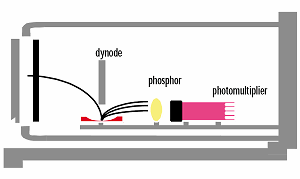 MS - detektor iontů detektor zařízení, které detekuje ionty separované hmotnostním separátorem Elektronový násobič konverzní dynóda umožňuje konvertovat ionty na sekundární elektrony a ty dále